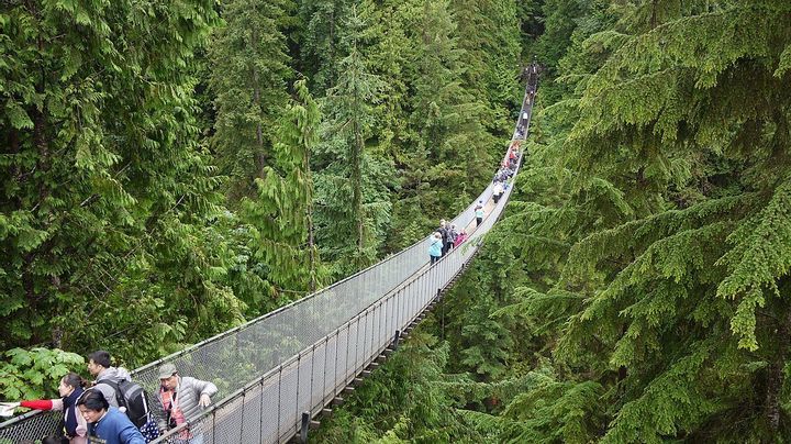 Capilano Suspension Bridge (Canada)